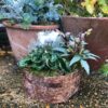 winter planter by Rose&Mary